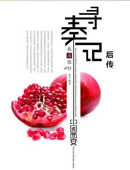 寻秦记后传(锁月创作的网络小说)