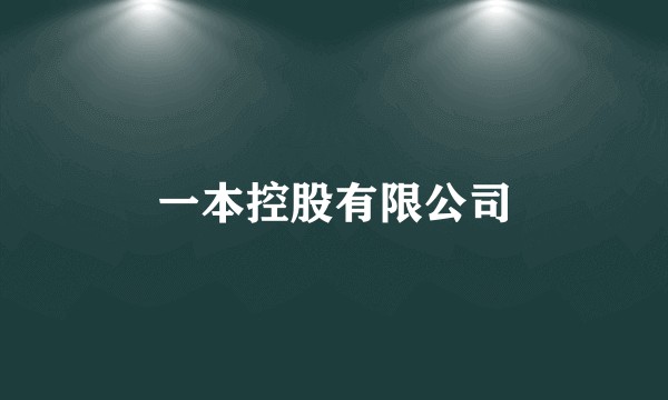 一本控股有限公司