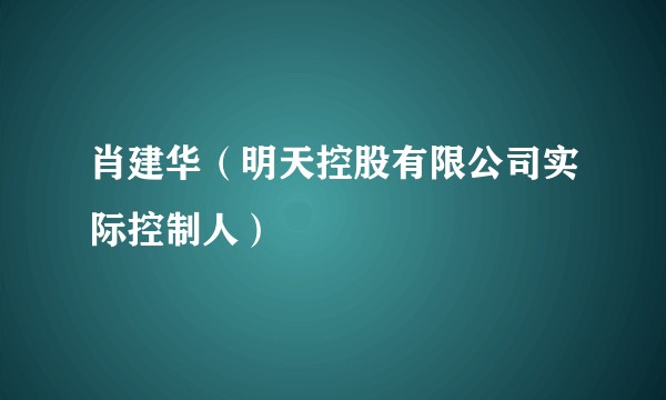 肖建华（明天控股有限公司实际控制人）