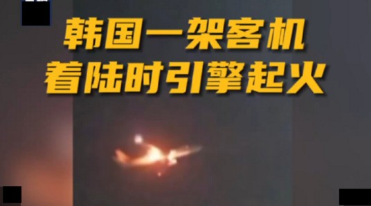 1·10韩国波音客机起火事故
