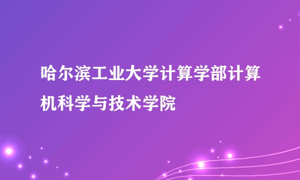哈尔滨工业大学计算学部计算机科学与技术学院