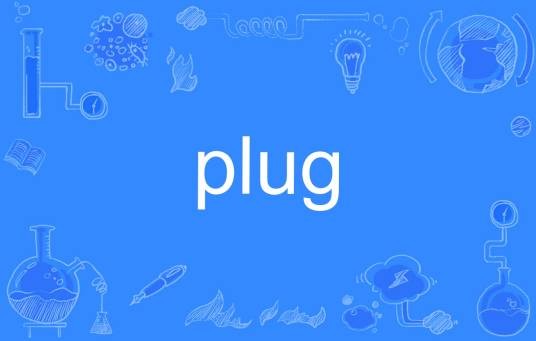 Plug（英文单词）
