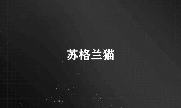 苏格兰猫
