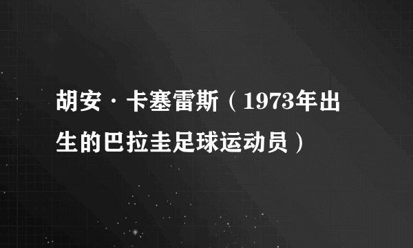 胡安·卡塞雷斯（1973年出生的巴拉圭足球运动员）