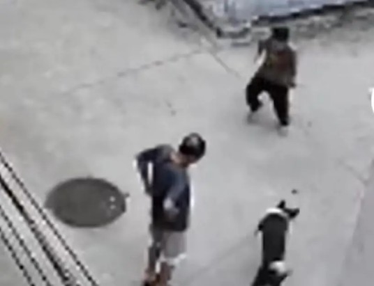 8·27项城男童被狗咬伤事件