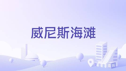 威尼斯海滩（美国洛杉矶以街头文化和多元化闻名的免费海滩）