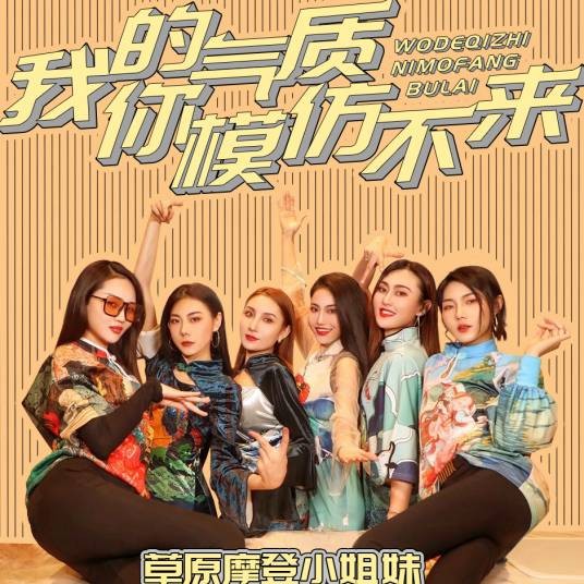 我的气质你模仿不来