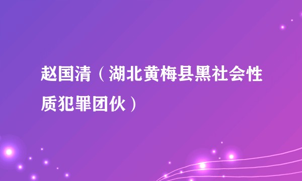 赵国清（湖北黄梅县黑社会性质犯罪团伙）