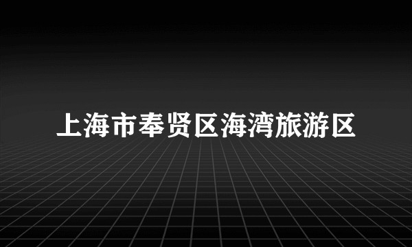 上海市奉贤区海湾旅游区