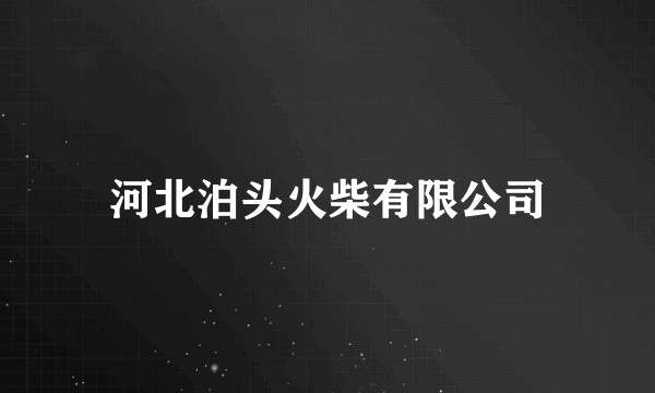 河北泊头火柴有限公司