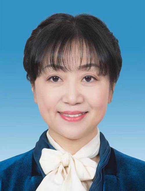 陈兰（江西省南昌市东湖区人大常委会党组书记、主任）