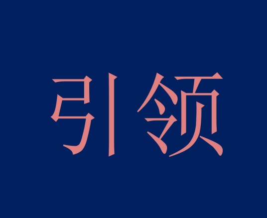 引领（汉语词汇）