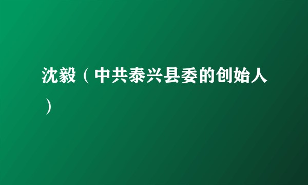 沈毅（中共泰兴县委的创始人）