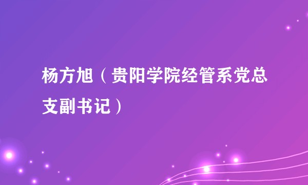 杨方旭（贵阳学院经管系党总支副书记）