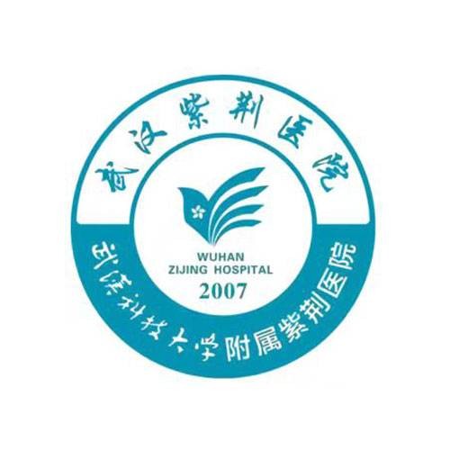 武汉紫荆医院