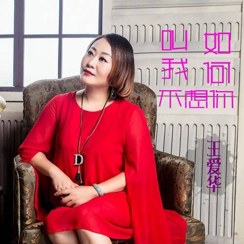 亲爱的对不起(王爱华、都市苍狼演唱歌曲)