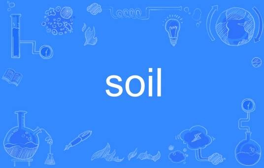 soil（英语单词）