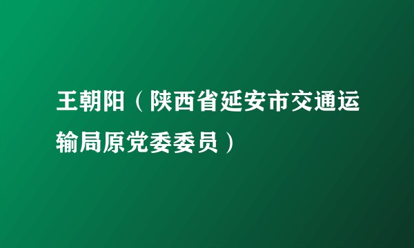 王朝阳(陕西省延安市交通运输局原党委委员)