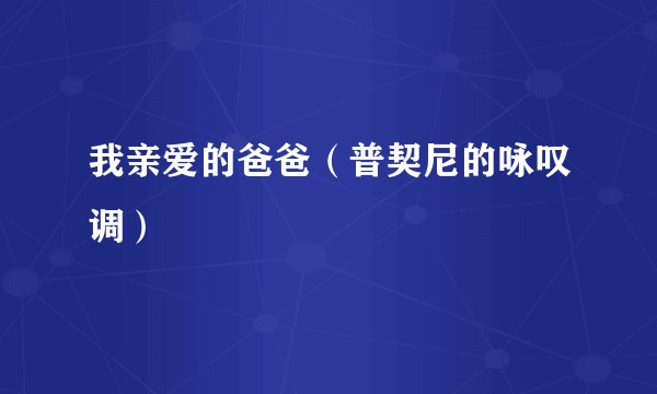 我亲爱的爸爸（普契尼的咏叹调）