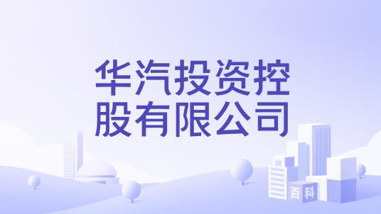 华汽投资控股有限公司