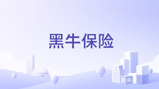 黑牛保险