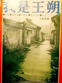 我是王朔