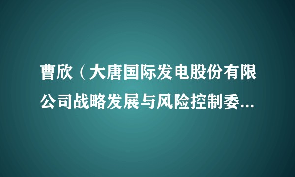 曹欣（大唐国际发电股份有限公司战略发展与风险控制委员会委员）