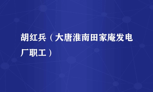 胡红兵（大唐淮南田家庵发电厂职工）