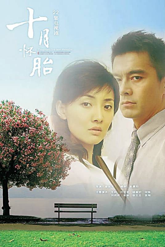 十月怀胎(曹保平导演电视剧)