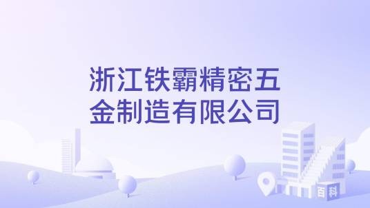 浙江铁霸精密五金制造有限公司