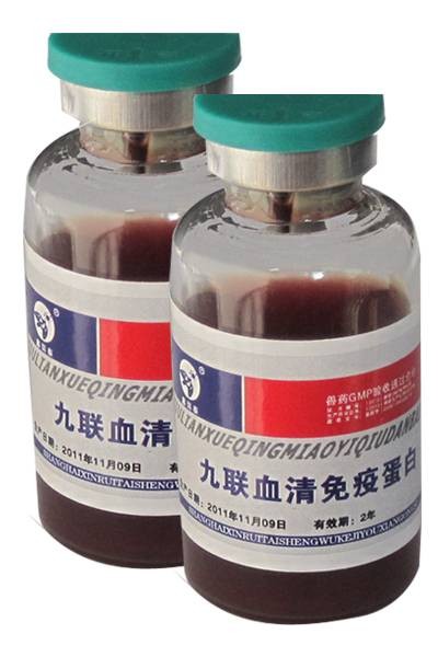 血清型