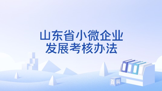 山东省小微企业发展考核办法