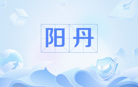 阳丹(药名)