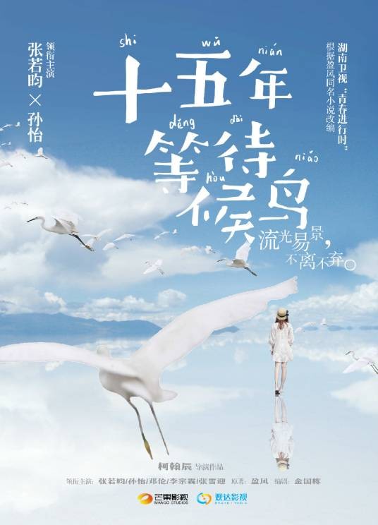 十五年等待候鸟（2016年张若昀、孙怡主演的青春偶像剧）