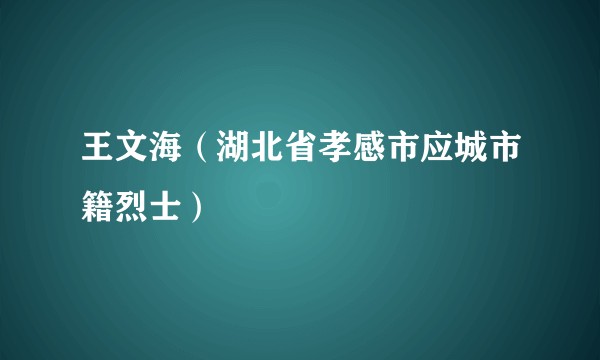 王文海（湖北省孝感市应城市籍烈士）