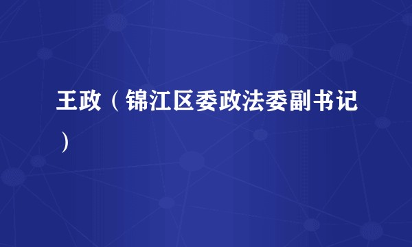 王政（锦江区委政法委副书记）