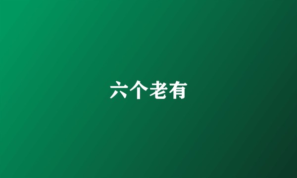 六个老有