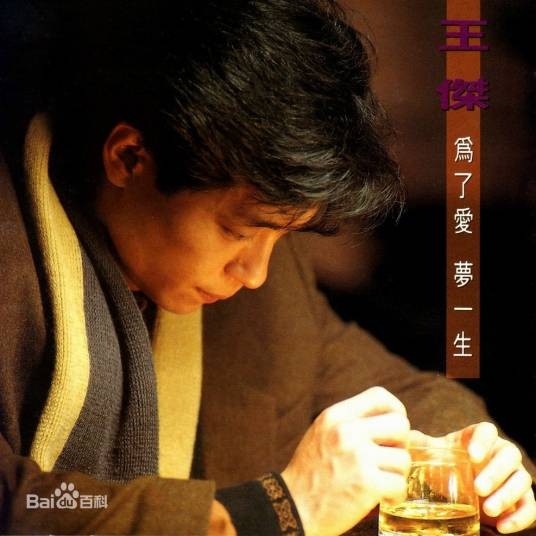 为了爱，梦一生（1991年王杰演唱歌曲）
