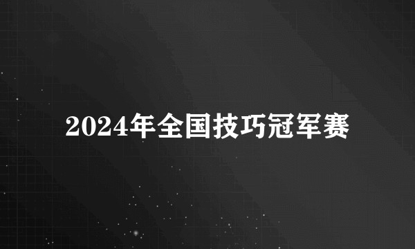 2024年全国技巧冠军赛