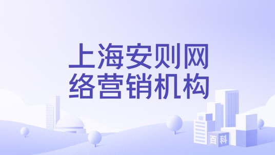 上海安则网络营销机构