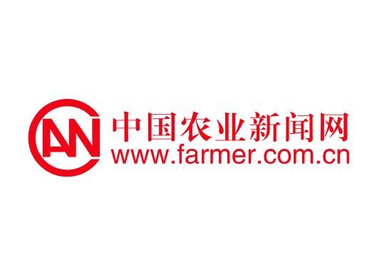 中国农网