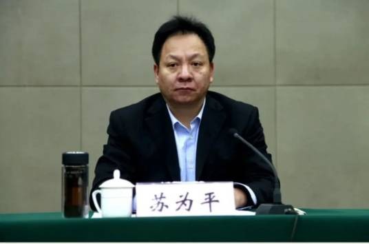 苏为平（江苏省徐州市纪委副书记、二级巡视员）