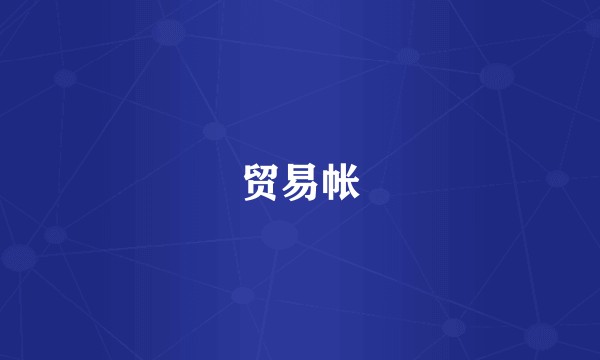贸易帐
