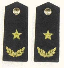 少将（将官军衔）