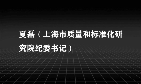 夏磊（上海市质量和标准化研究院纪委书记）