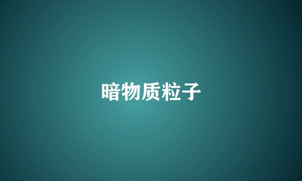 暗物质粒子