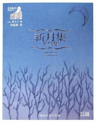 新月集·飞鸟集(2010年四川文艺出版社出版的图书)