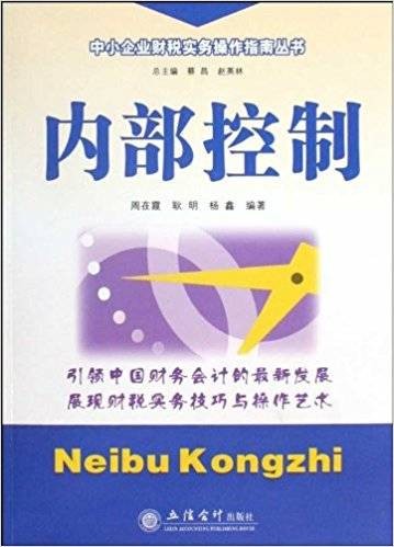 内部控制(2009年立信会计出版社出版的图书)