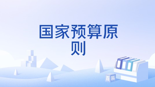 国家预算原则