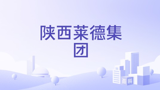 陕西莱德集团